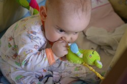 wibrująca zawieszka żabka BabyOno